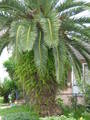 2007-Louisiana-Mission-Trip EBC (278).JPG